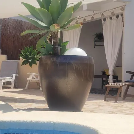 El Gecko * Alcossebre