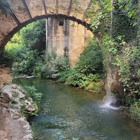 Semesterbostad El Gecko *