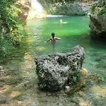 El Gecko Alcossebre