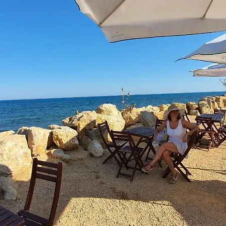 別荘 El Gecko Alcossebre