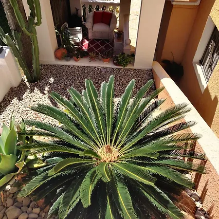 Casa de Férias El Gecko *