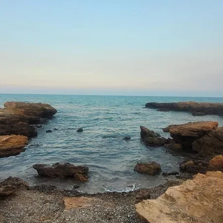 El Gecko Alcossebre